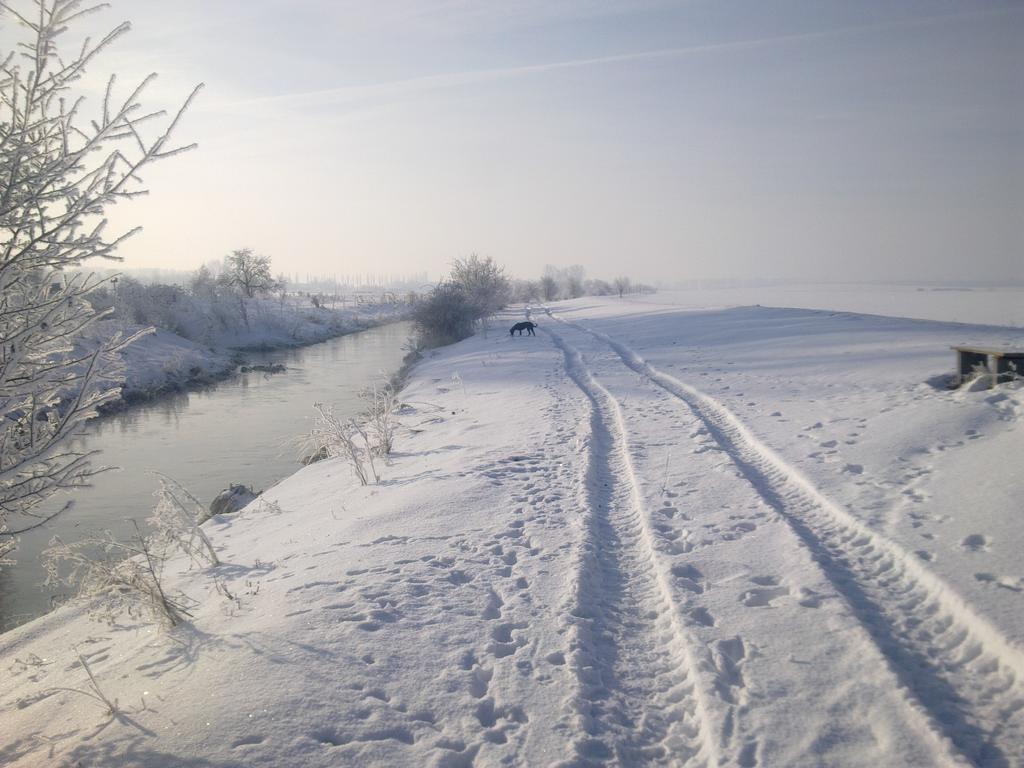 Fewo-Thueringer-Becken Vehra Bagian luar foto